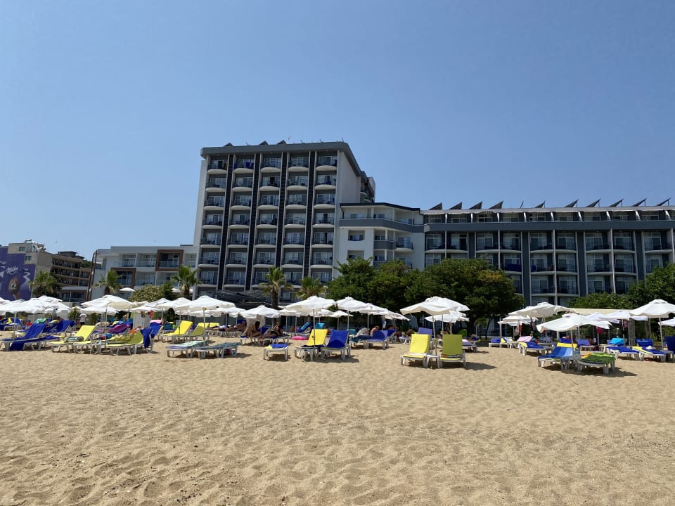 Strand Sentido Marea