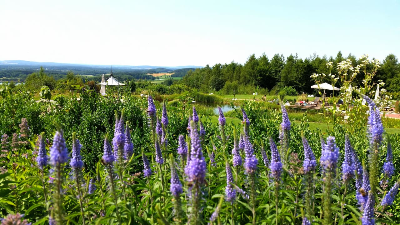 Landhotel Birkenhof Der Birkenhof - Spa & Genuss Resort