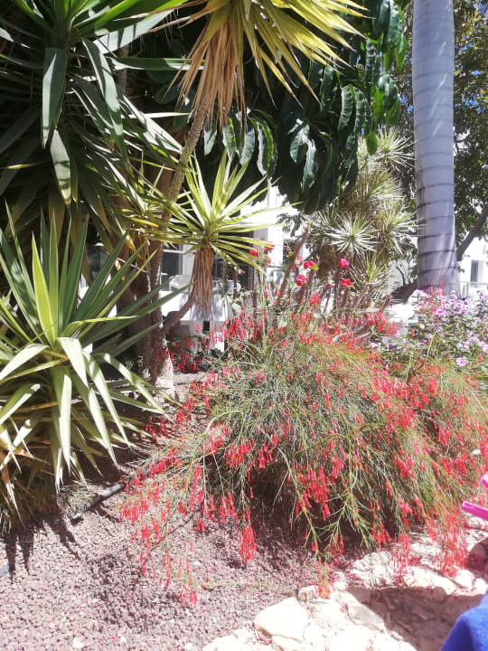 Gartenanlage R2 Bahía Playa Design Hotel & Spa - Adults Only