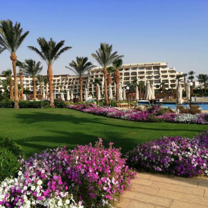 Gartenanlage Steigenberger ALDAU Beach Hotel