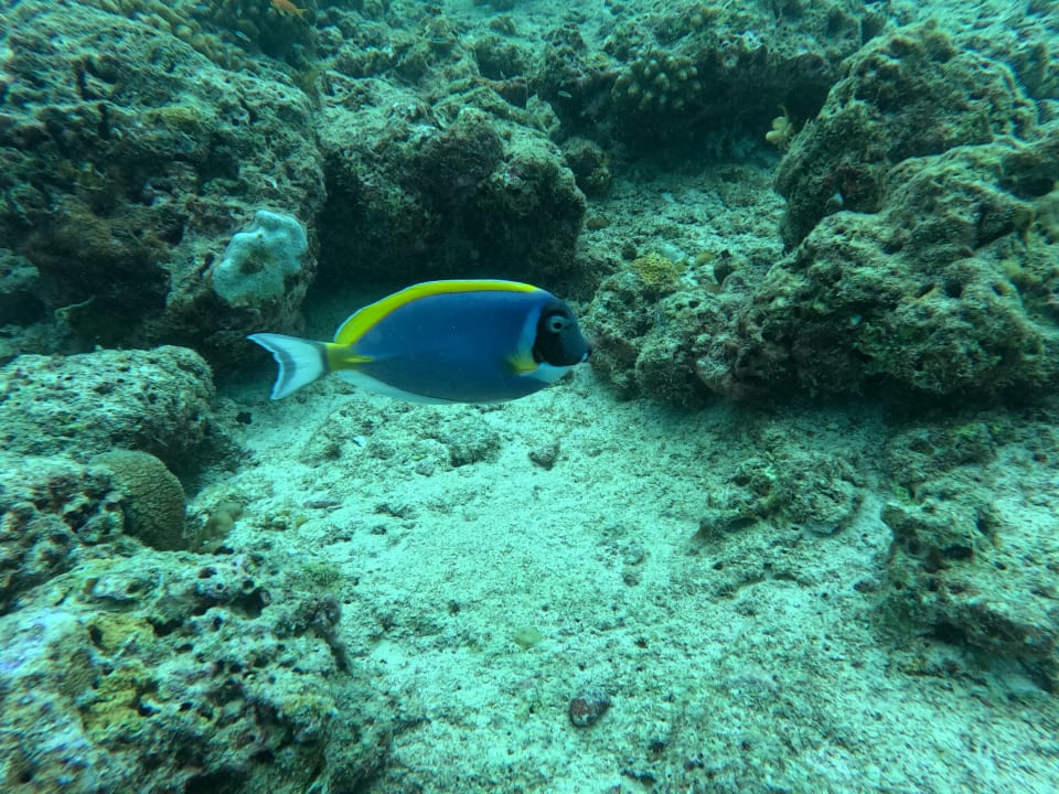 Sport & Freizeit NH Collection Maldives Reethi Resort