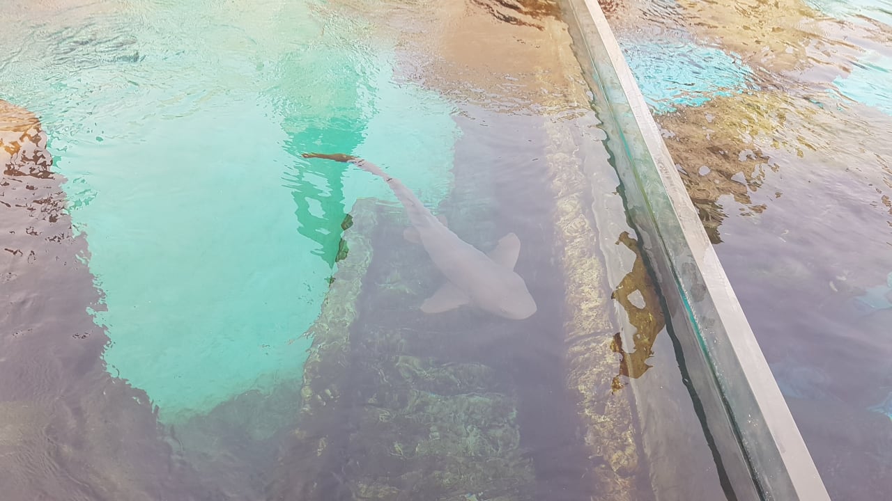 Sport & Freizeit The Land of Legends Kingdom Hotel