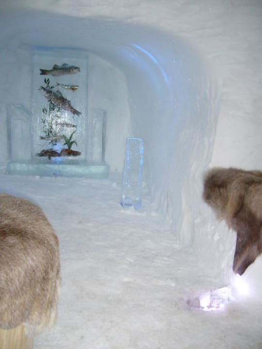 Eisbar Hotel IgluLodge
