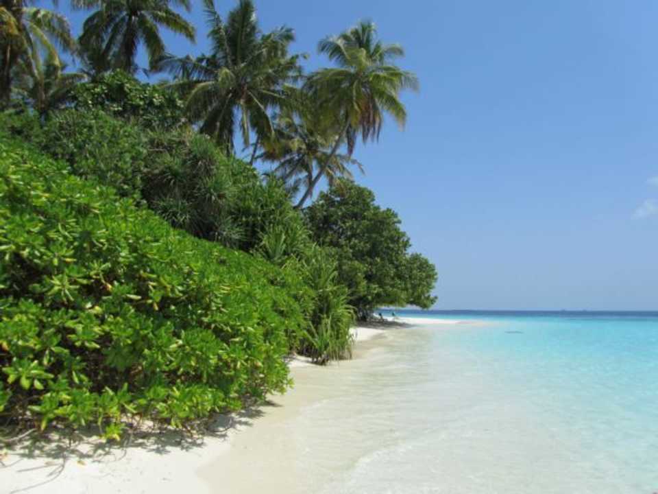 Träum  Biyadhoo Island Resort