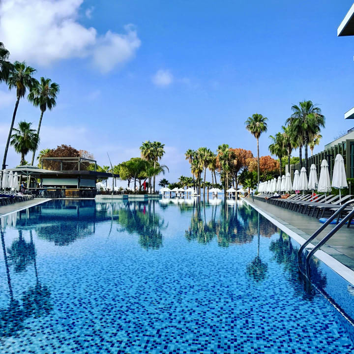Pool Acanthus Cennet Barut Collection