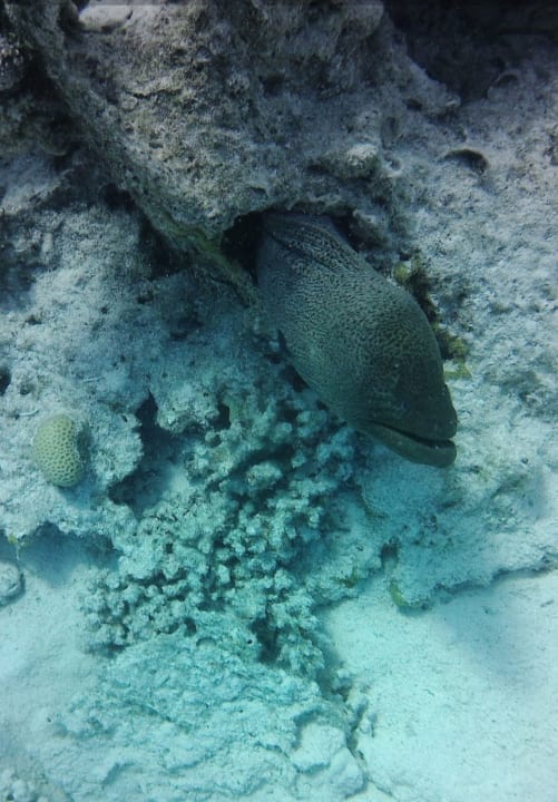 Sport & Freizeit Cleopatra Luxury Resort Makadi Bay