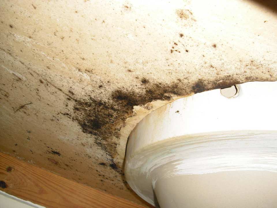 Waschbecken  BelleVue Dominican Bay