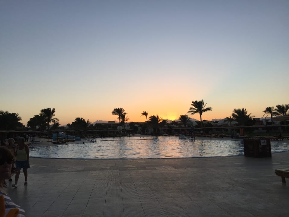 Pool mit Kinderbecken ( 2 Rutschen) Desert Rose