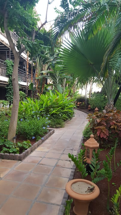 Gartenanlage Hotel Parque Tropical