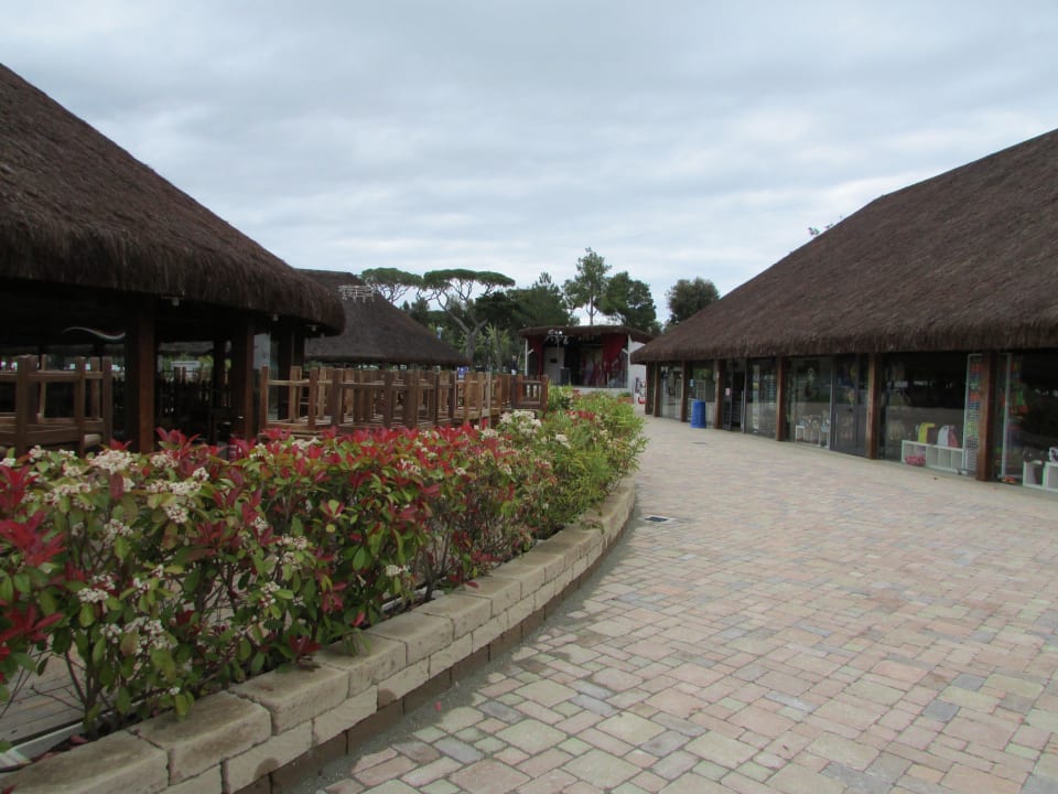 Camping Albatros Park Albatros Village