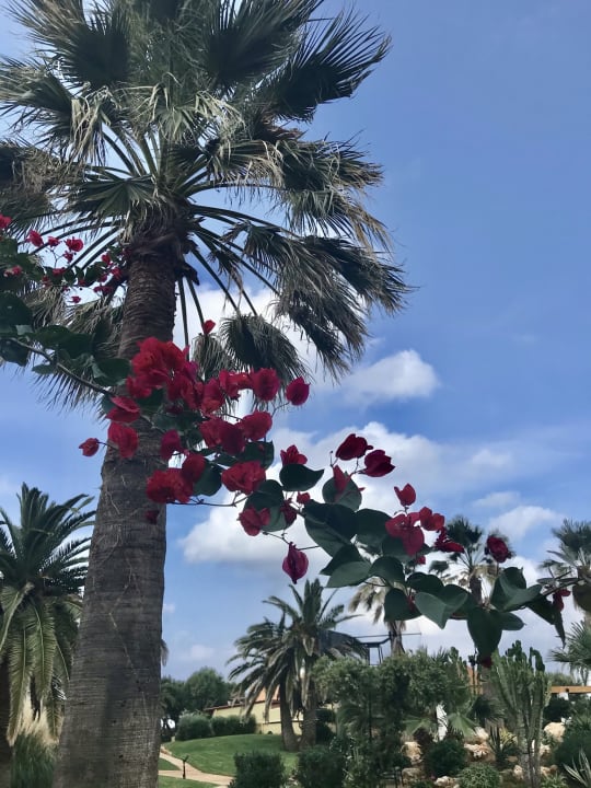 Gartenanlage Anissa Beach & Village