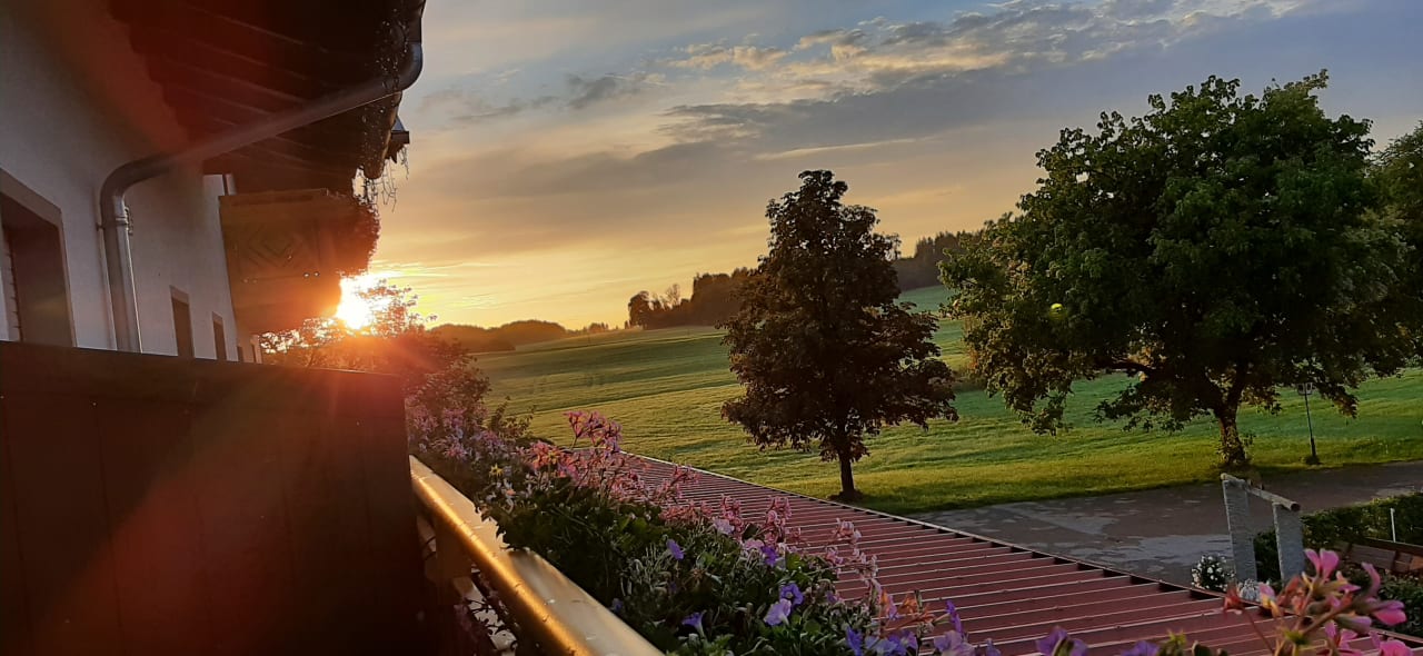 Ausblick Landgasthof Zum Sägwirt