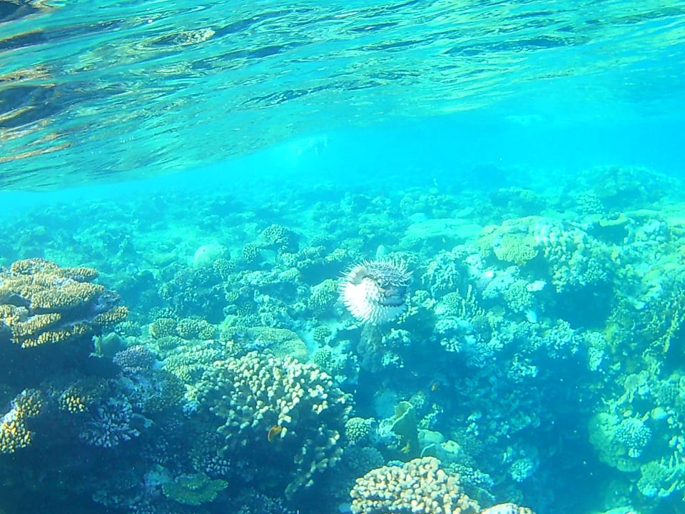 Strand Casa Mare Resort