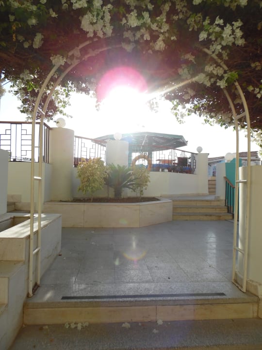 To pool SUNRISE Holidays Resort (Adults Only)