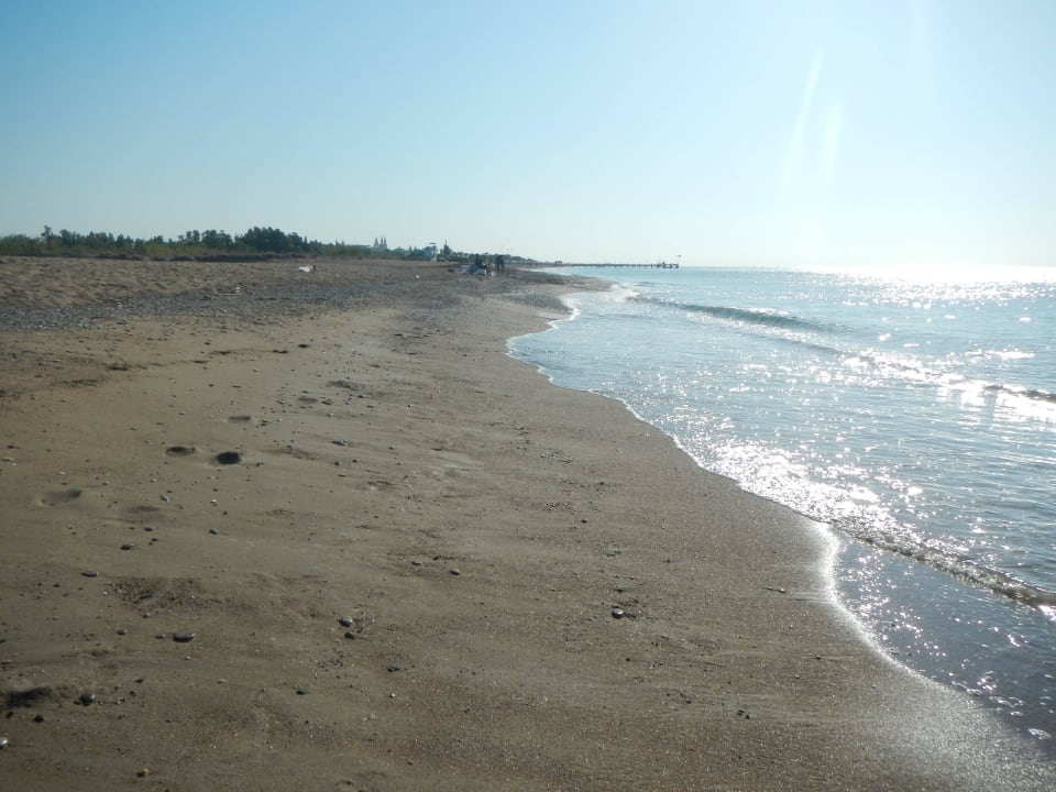 September 2015 Royal Wings Hotel