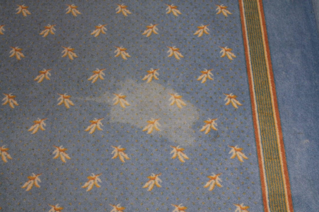 Flecken im Flur 2 Göbel's Seehotel Diemelsee