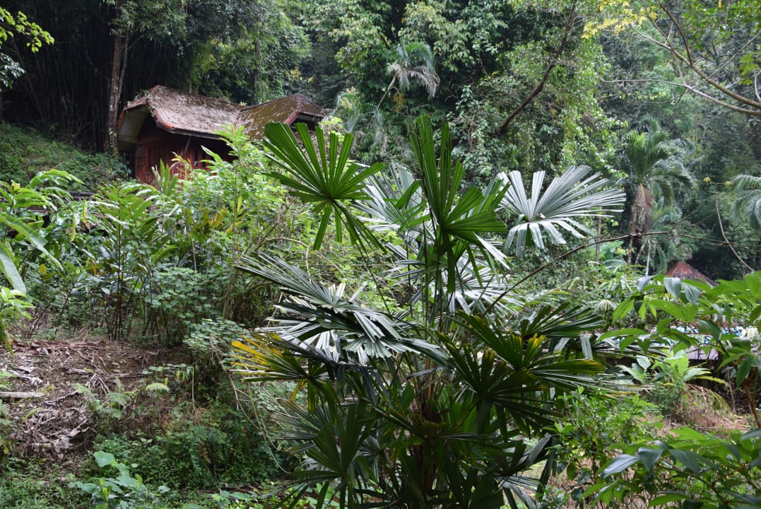 Zimmer Kuraburi Greenview Resort