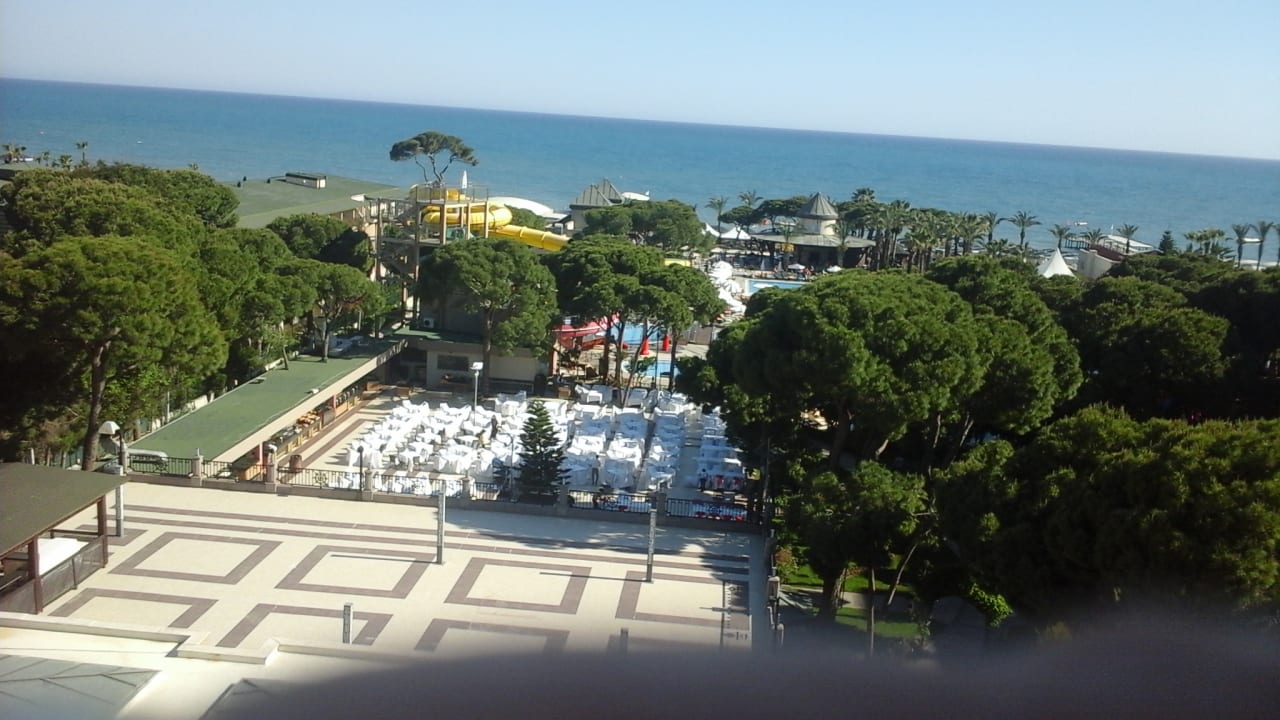 Ausblick Papillon Ayscha