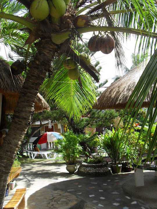 Garten Blick Love's Lodge & Resort