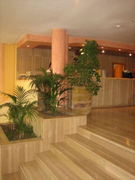 rezeption Iberostar Waves Playa de Muro