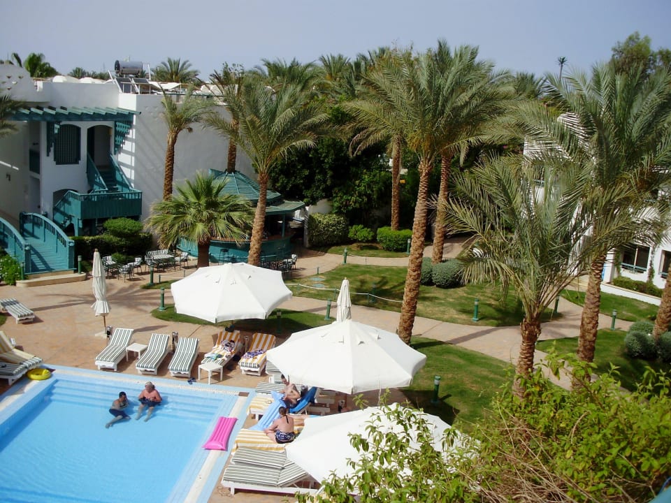 Pool Hotel Falcon Hills