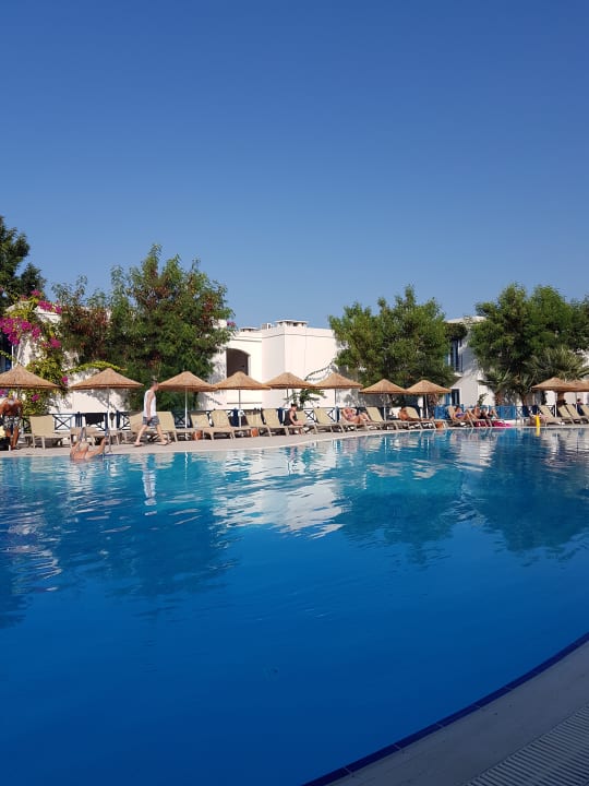 Pool Bodrum Holiday Resort & Spa