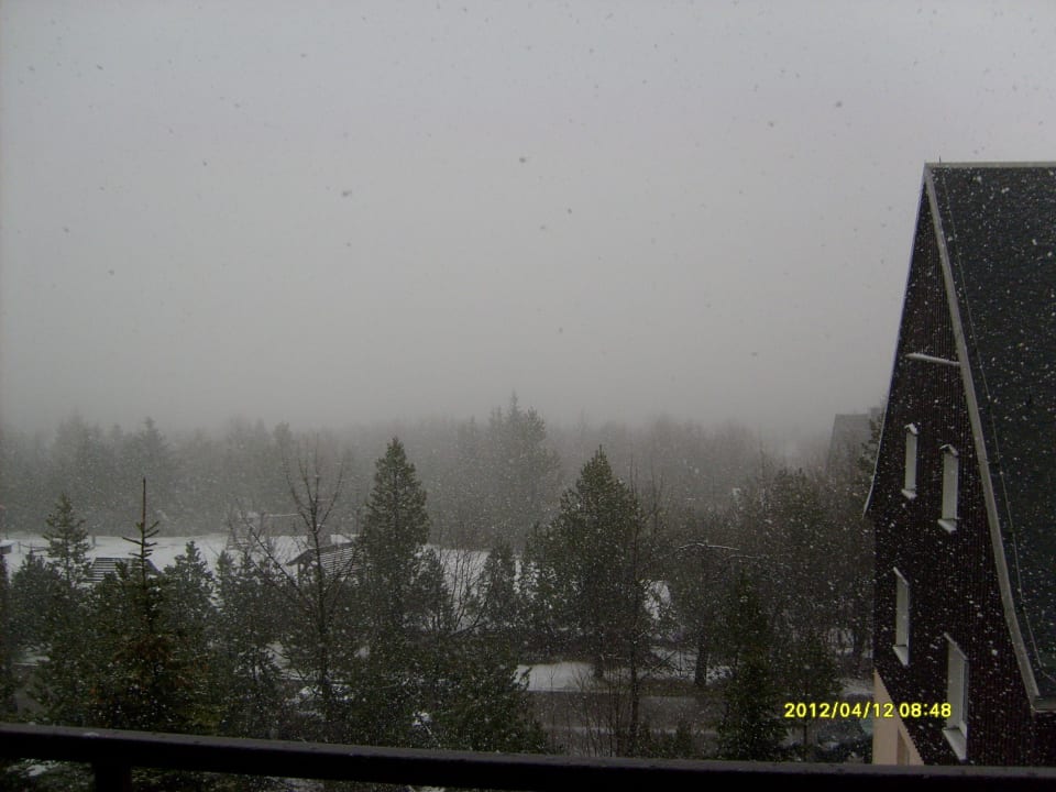 Ausblick vom Balkon Hotel Lugsteinhof