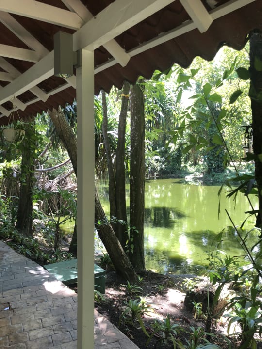 Gartenanlage Viva Heavens by Wyndham - All Inclusive Resort