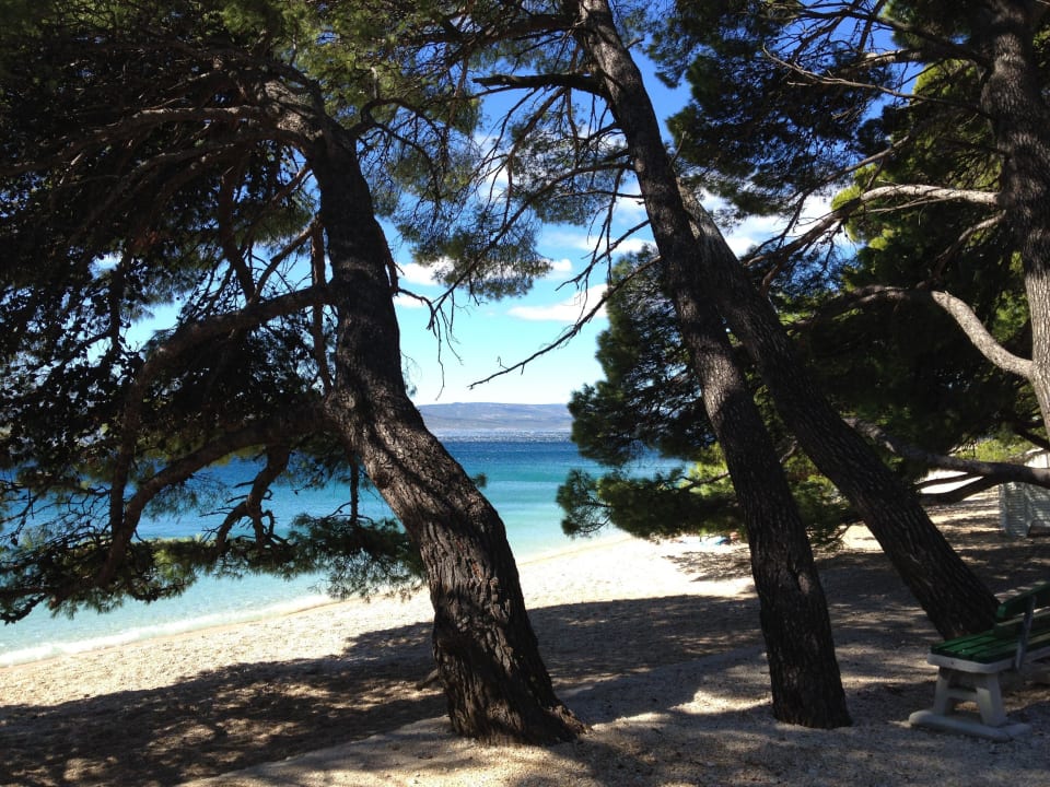 Pláž Bluesun Hotel Soline