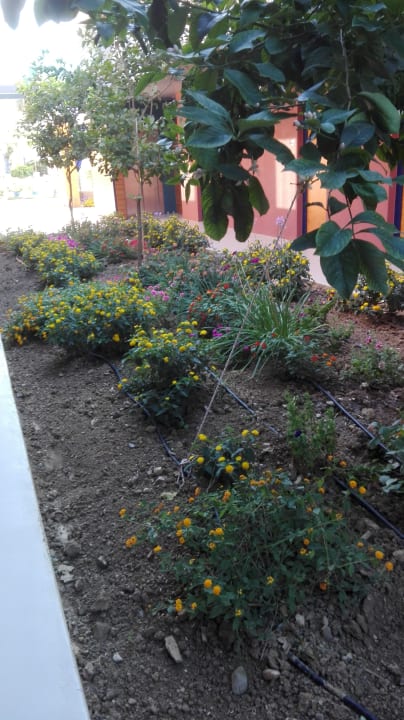 Gartenanlage Harmony Boutique Resort