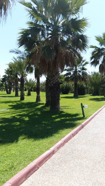 Gartenanlage VONRESORT Golden Beach