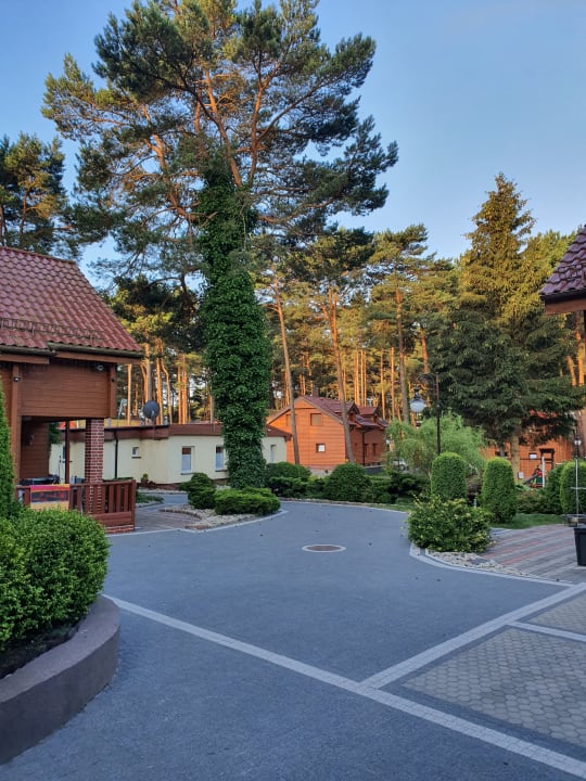 Ausblick Ferienanlage Vierjahreszeiten