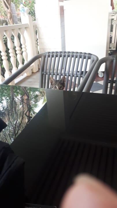 Sonstiges Royal Taj Mahal Hotel