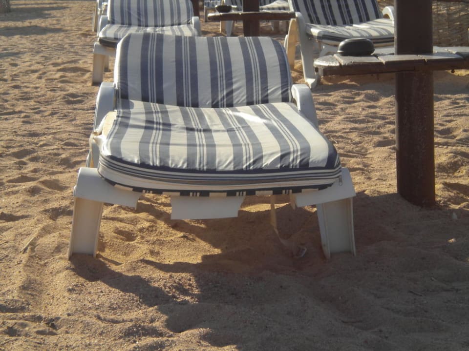 Liegen TUI MAGIC LIFE Redsina Sharm El Sheikh