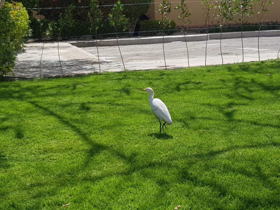 Gartenanlage Jaz Solaya