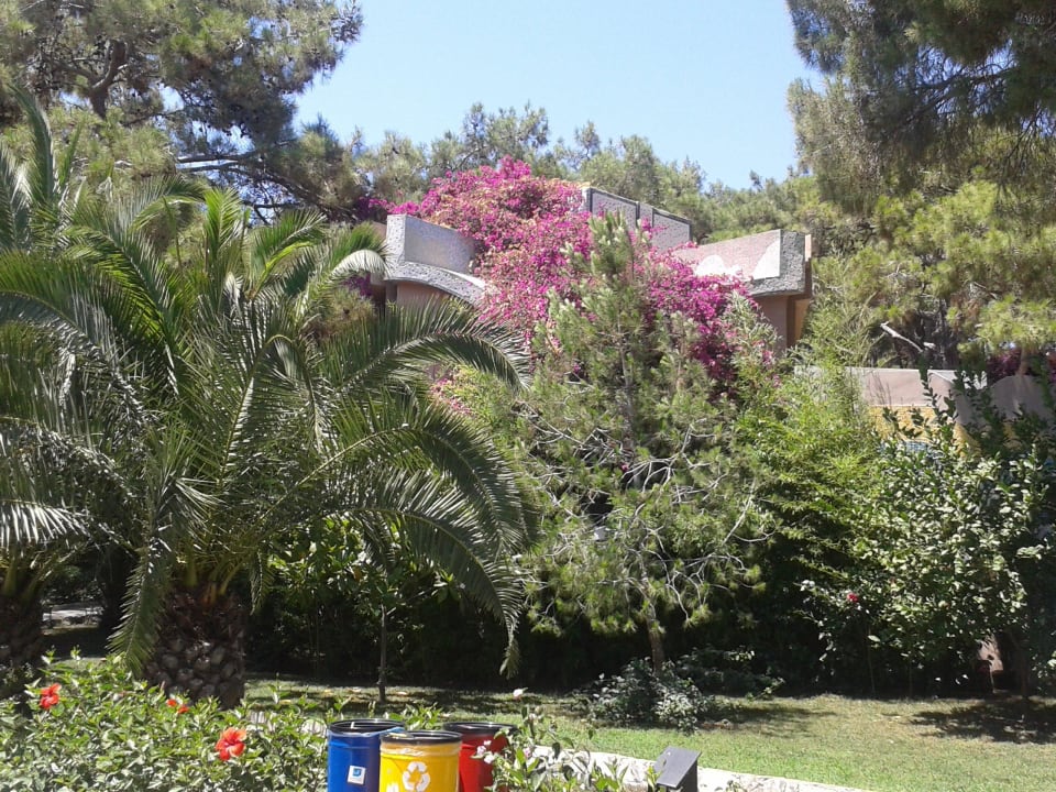 Garten Blue Waters Club