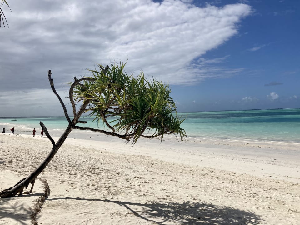 Strand Ocean Paradise Resort & Spa