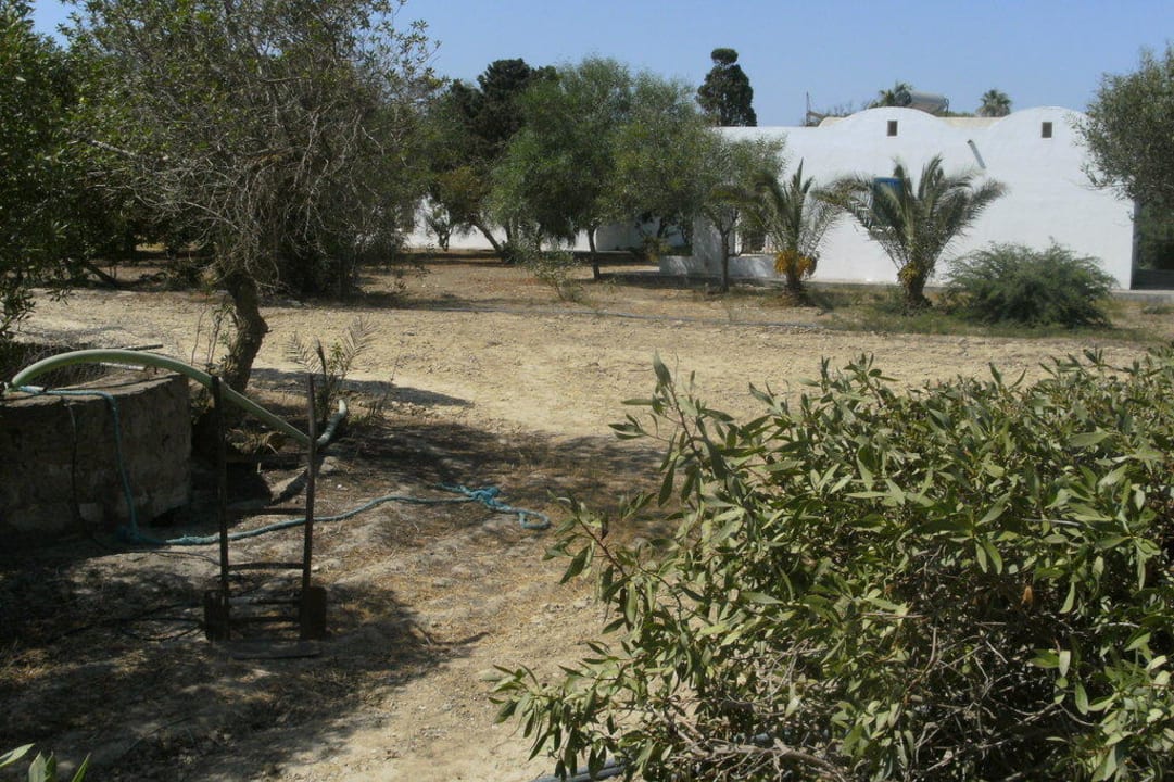 Klärgrube Royal Lido Resort & Spa