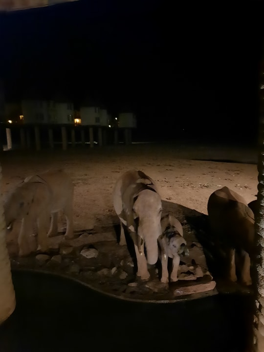 Sport & Freizeit Taita Hills Safari Resort & Spa