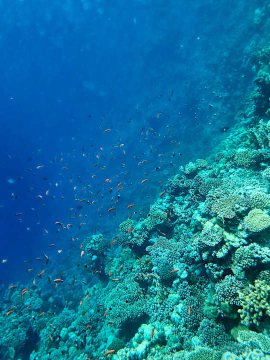 Sonstiges Diamond Beach by Pearl Resort