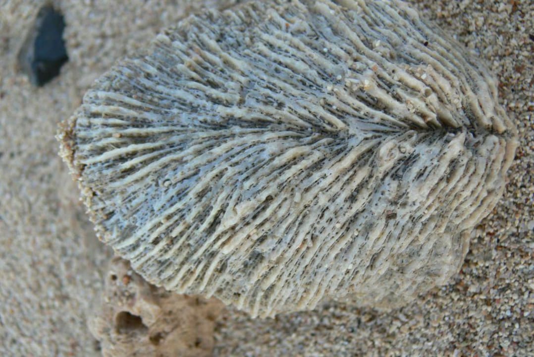 Hotel brayka bay Brayka Bay Resort