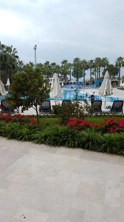 Pool Kamelya Aishen Club