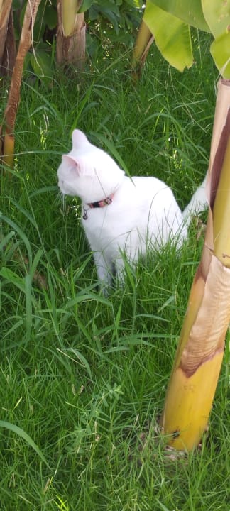 Sonstiges Saturn Palace Resort Hotel