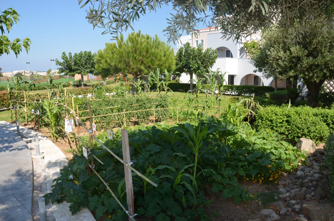 Gemüsebeet Atlantica Marmari Palace