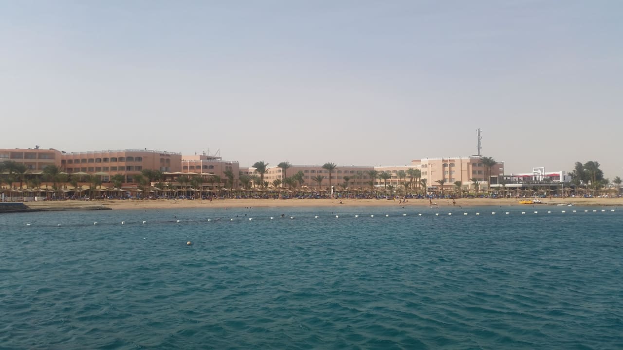 Schön anzusehen  Beach Albatros Resort