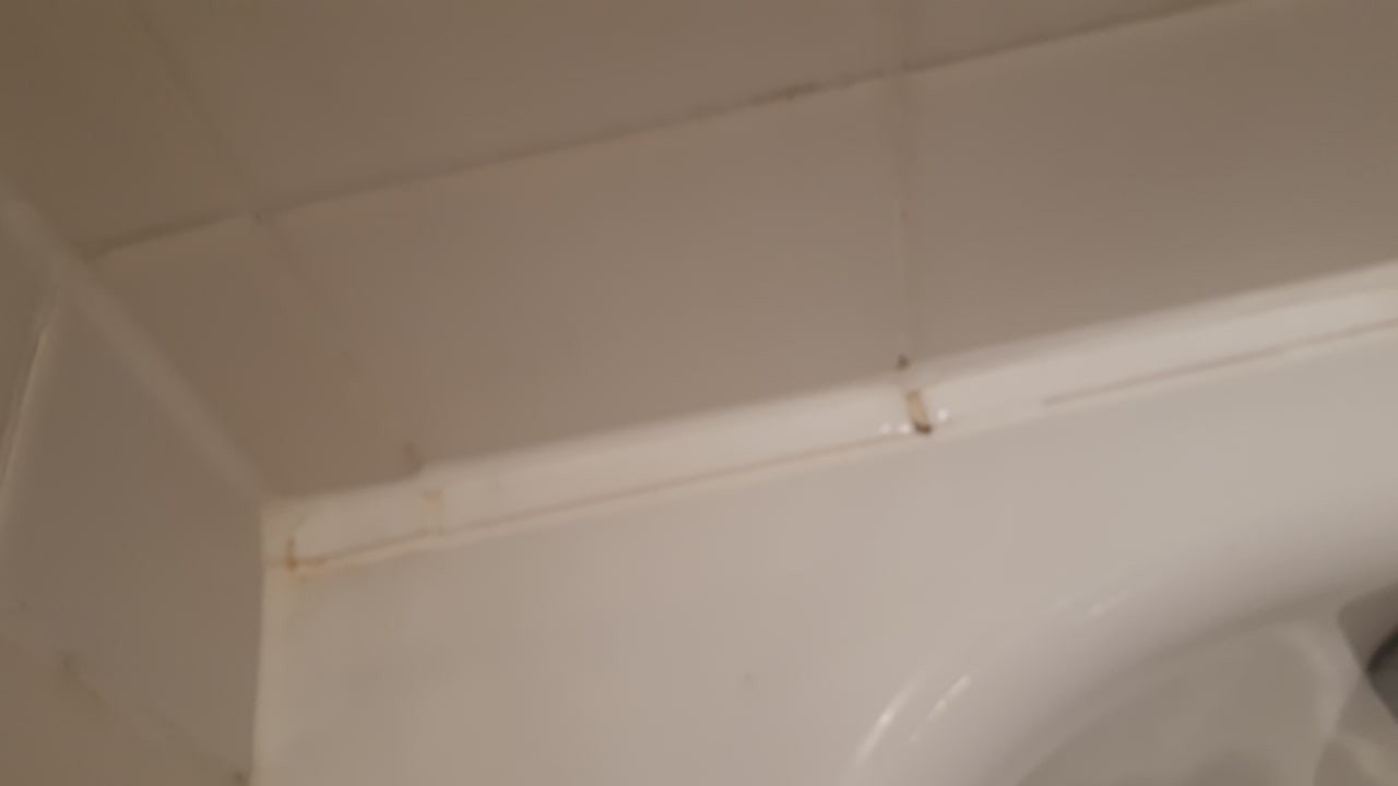 Zimmer Welcome Hotel Bad Arolsen