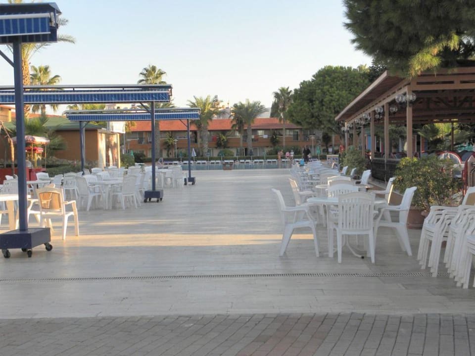 Bar i basen o poranku Club Turtas Beach Hotel