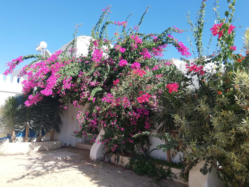 Garten Golf Beach Hotel & Spa