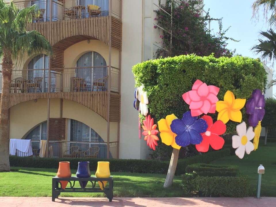 Gartenanlage Desert Rose