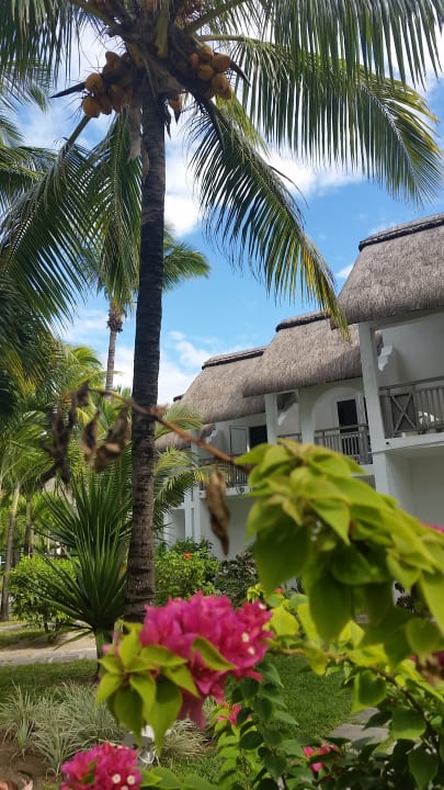 Gartenanlage Veranda Palmar Beach Hotel